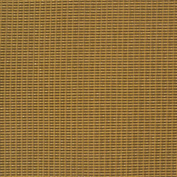 Fender style Beige Brown with Gold stripe